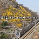 봄날기획