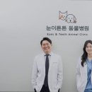 눈이튼튼 동물병원 이미지