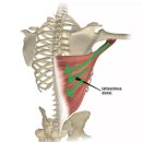 베르데미 이미지