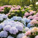 저산팔읍길쌈놀이(기획) 이미지