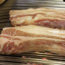 돌리고 제주도야지 이미지