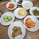 조방낙지 | 속초교동맛집 원조부산조방낙지 방문후기