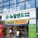 뉴질랜드부원점