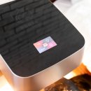 레이 펫 이미지