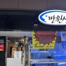 송내역맛집 만원상회&amp;숙성회맛집 부평송내점 오마카세 중짜리 굴찜까지 푸짐했던 회 한판