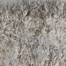 서천-12 이미지