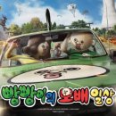 덴그라운드