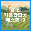 서정스카이 | 강진 가볼만한곳 베스트10