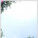 수림유치원 이미지