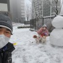 굿파파 24시 반려동물건강검진센터 이미지