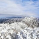 1월18일 목요일. '남덕유 할미봉' - 변경! 눈 내리고 있는 오대산으로 변경 -정상출발 이미지