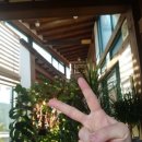 카페138일 이미지