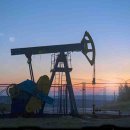 동일석유(주)동일주유소 이미지