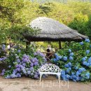 동화마을 생태공원 1 이미지