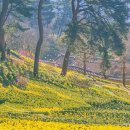 서산명소