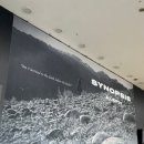 29170-4-B-24 | 5월 16일 알레프 시놉시스 콘서트 예스24홀 1층 B구역 6열 5,6번 좌석 시야 후기 ♥