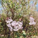 비둘기미용실 이미지