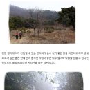 하늘아래첫농장 이미지