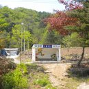 신읍리율대 이미지