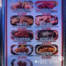 북창동 시청역 와인바 &#39;소공소공&#39; 데이트분위기 좋은 퓨전음식 요리주점 / 을지로입구역 만선호프 맥주집