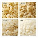 씨에스나무병원 이미지