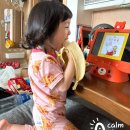 자미당한