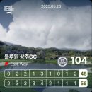 사내로3길 31 | 2025년 5월