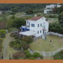 옥정강아지 이미지