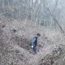 케다