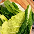 대홍샤브샤브 이미지