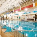 대명애견 이미지