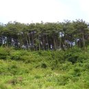 장성목장 이미지