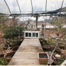 신점선생묘 | 동탄점집 신점 집안에 겹친 우환의 이유를 짚어준 산소탈 상담