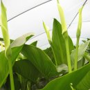 강천농장 이미지