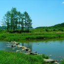 징검다리 이미지