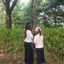 개구리네 | [후기] 숲속에서 즐기는 문화예술교육프로그램 및 시를 노래하다, 연극놀이 &#39;개구리네 한솥밥&#39; 참관 후기