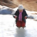 설매농장 이미지