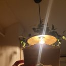 스코리아(청굴물) 이미지