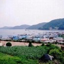 고향 이미지