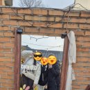 미미상점 이미지