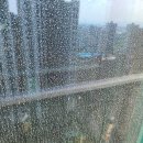 파주 유리창청소업체 후기 (제일풍경채 아파트)