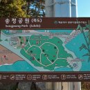 마린테라스 | 부산 송정 추천 바다가 보이는 더레스트마린(위치, 주차, 테라스)