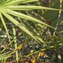 서울차비뇨기과의원 이미지