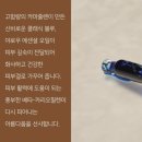 인앤아웃뷰티