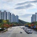 영통 황골사거리 이미지