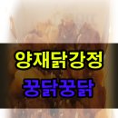 꿍닭꿍닭 - 강남구 남부순환로363길 15 | [역삼치킨배달] 양재 닭강정, 꿍닭꿍닭