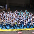 멘토 태권도 이미지