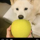 홍*유