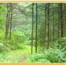 358-2-000000 이미지