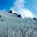 천망3